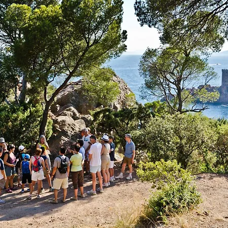 פארק נופש Sowell Residences Chenes Verts Saint-Raphaël